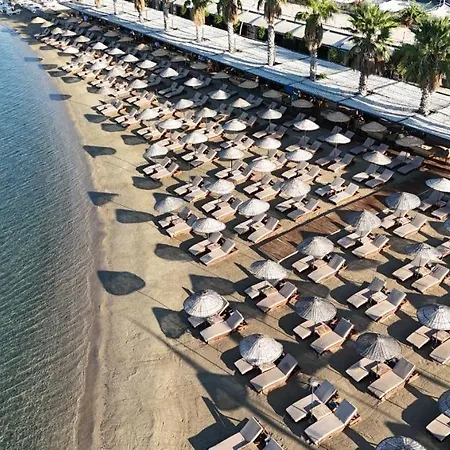 Taga Hotel *