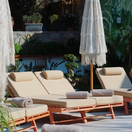 Hotel Taga *